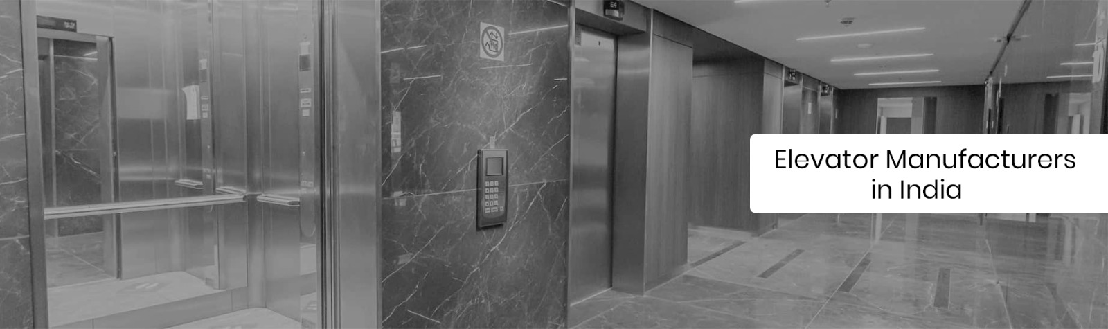 Capsule Elevators